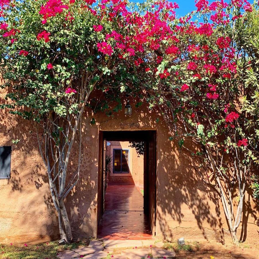 La Ferme Berbere Adult Only Bed and Breakfast El Harkat Buitenkant foto