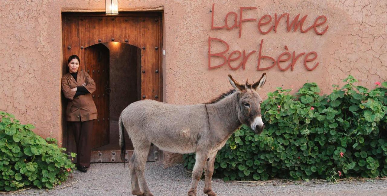 La Ferme Berbere Adult Only Bed and Breakfast El Harkat Buitenkant foto