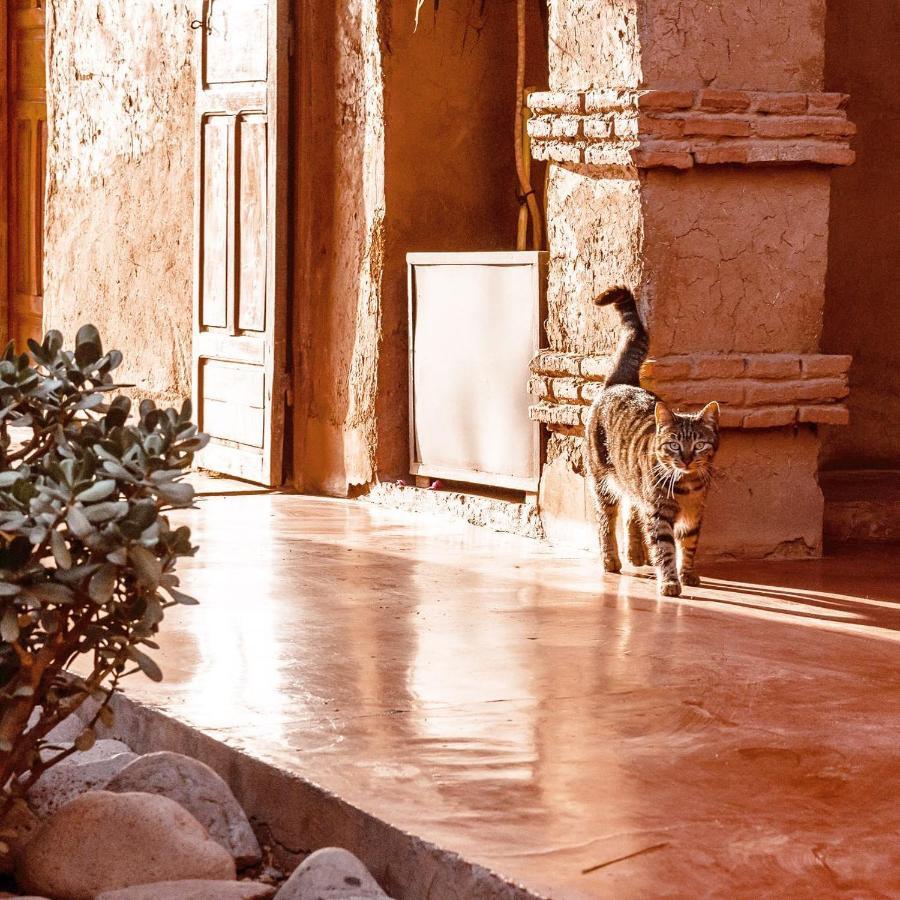 La Ferme Berbere Adult Only Bed and Breakfast El Harkat Buitenkant foto