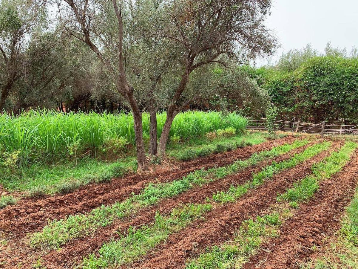 La Ferme Berbere Adult Only Bed and Breakfast El Harkat Buitenkant foto