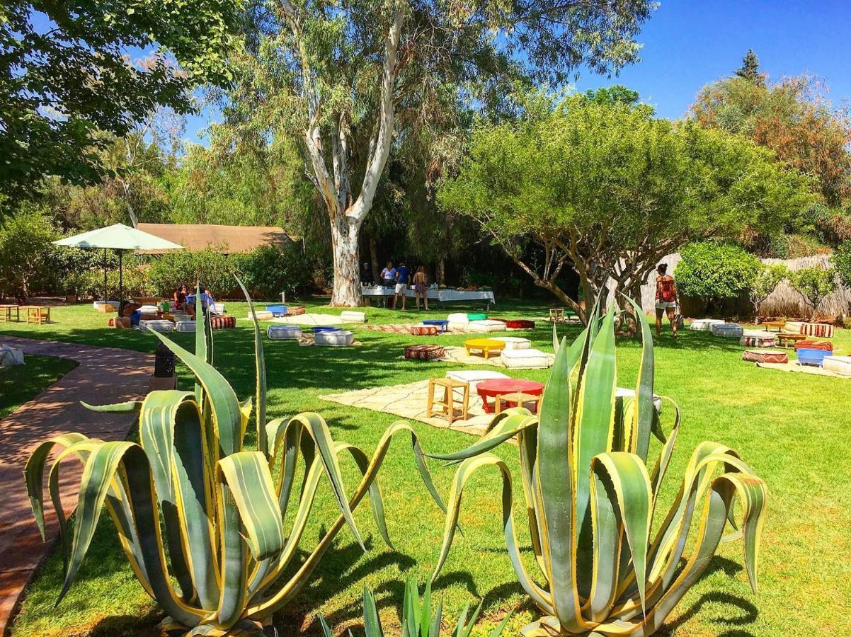 La Ferme Berbere Adult Only Bed and Breakfast El Harkat Buitenkant foto