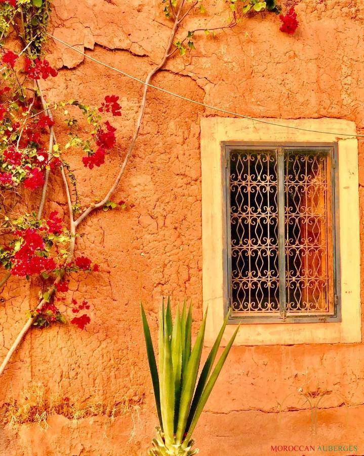 La Ferme Berbere Adult Only Bed and Breakfast El Harkat Buitenkant foto