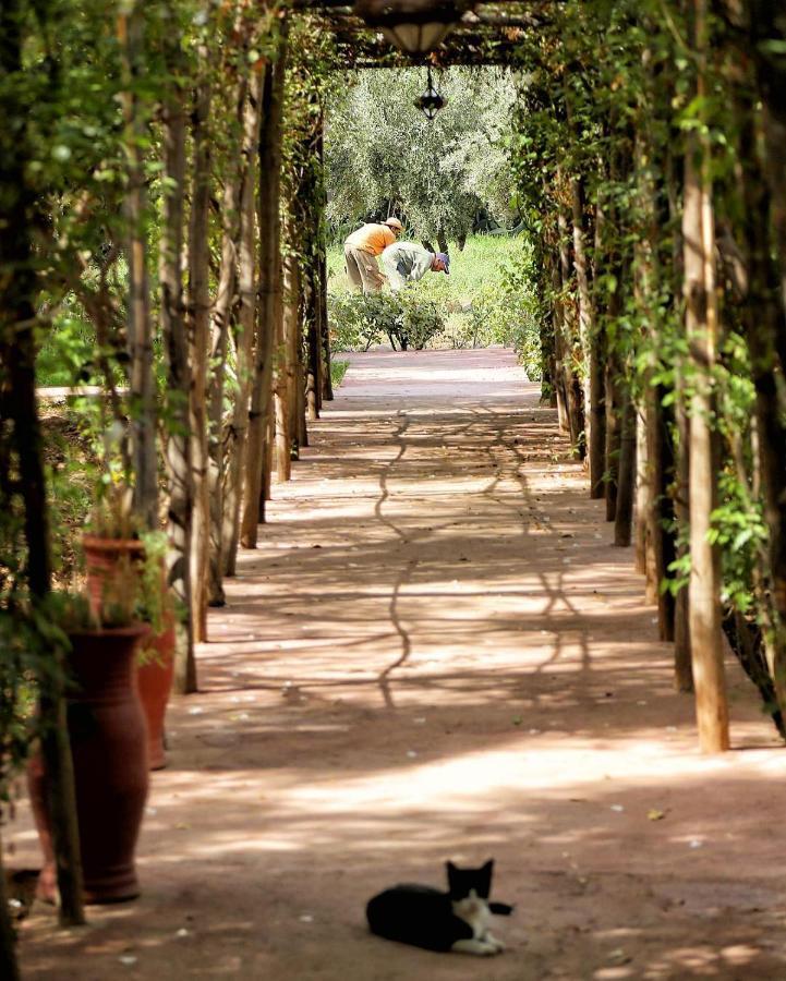 La Ferme Berbere Adult Only Bed and Breakfast El Harkat Buitenkant foto