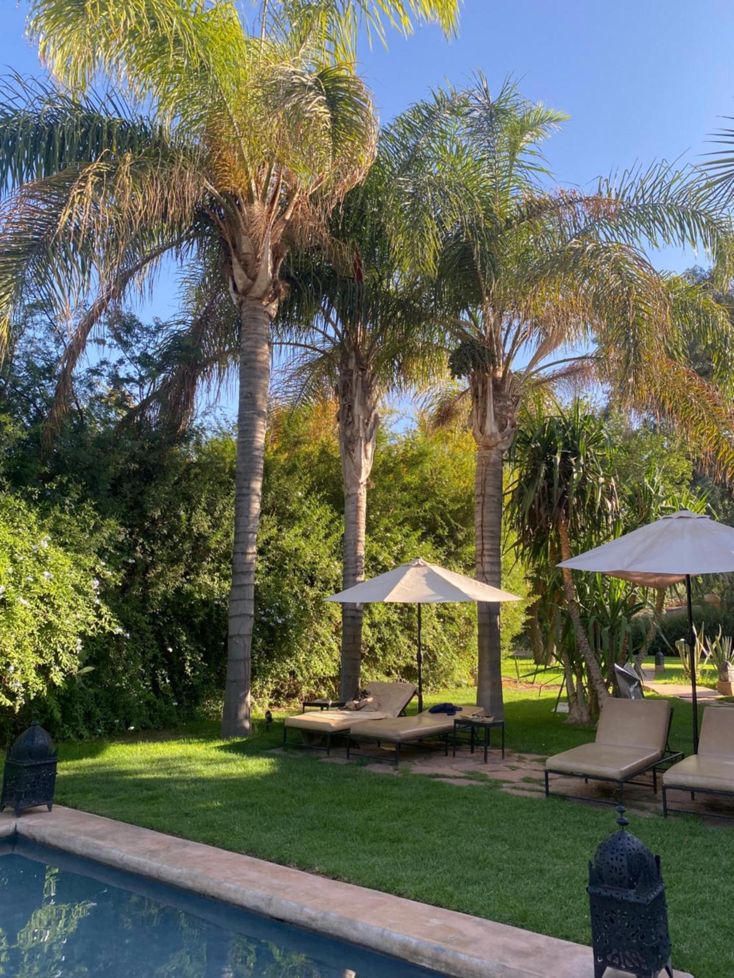 La Ferme Berbere Adult Only Bed and Breakfast El Harkat Buitenkant foto